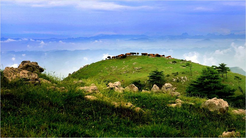 湖北-宜昌百里荒风景区-101